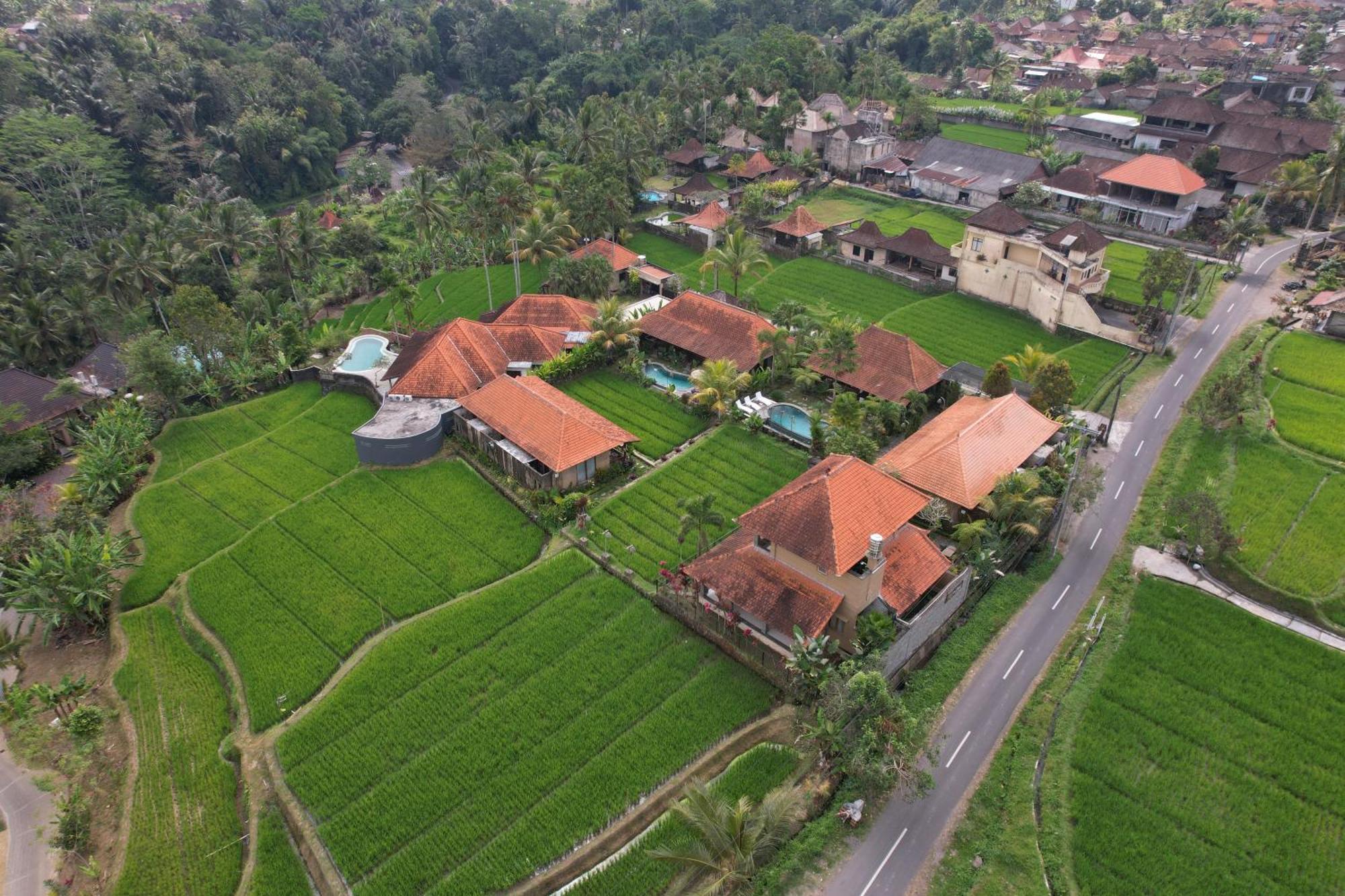 Umakelod Sebatu Villas Ubud Extérieur photo